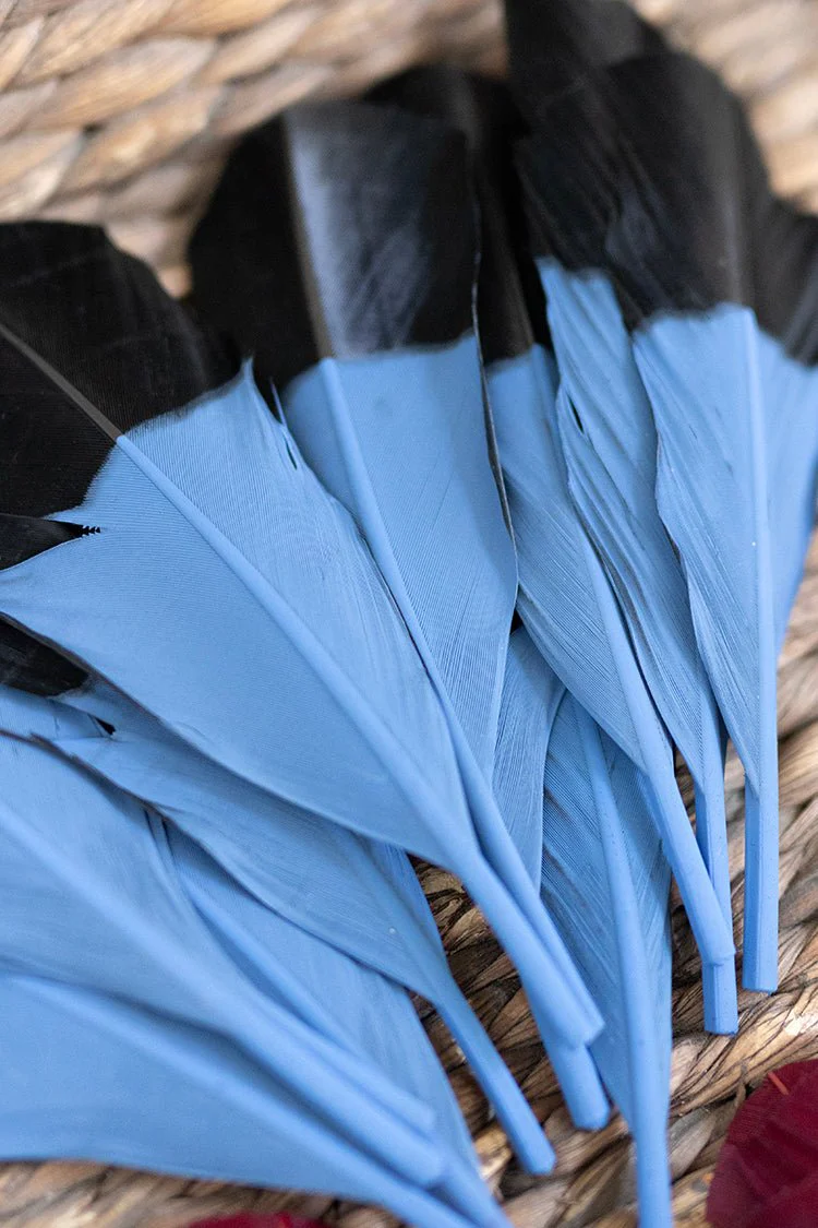 Painted Hat Feather - Blue - Image 5